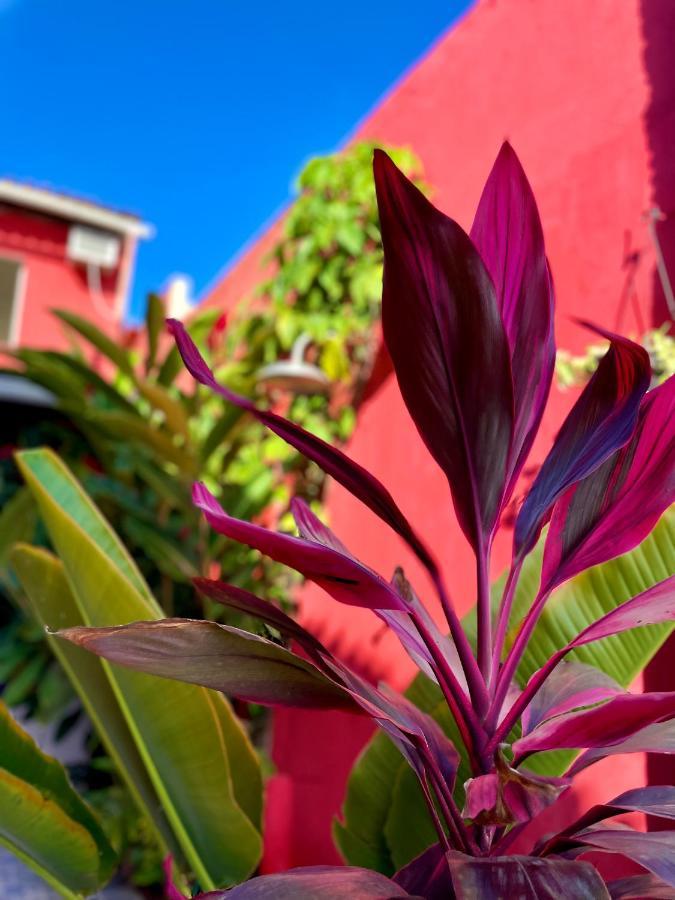 Hotel Pousada Kawaii à Porto Seguro Extérieur photo